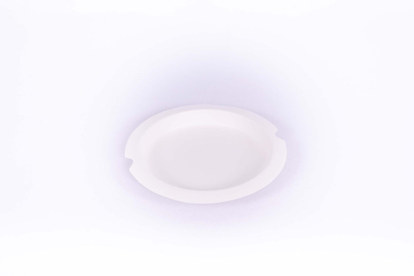 Sugar cane plate LUX 20 cm (12*6)