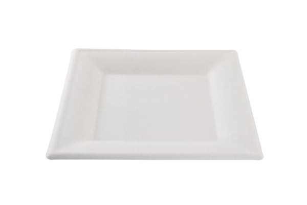 Sugar cane square plate square 24 cm (16×50)