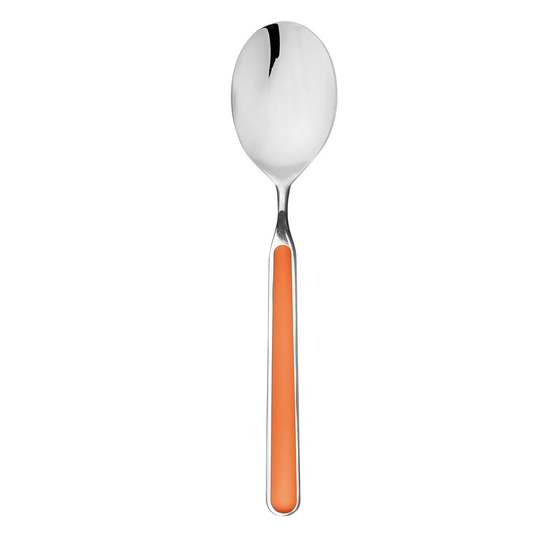 Serving Spoon Carrot
