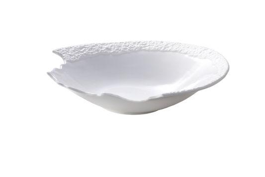 maastricht-porselein-bord-diep-calcaire-30-cm-wit-porselein-1-stuk_