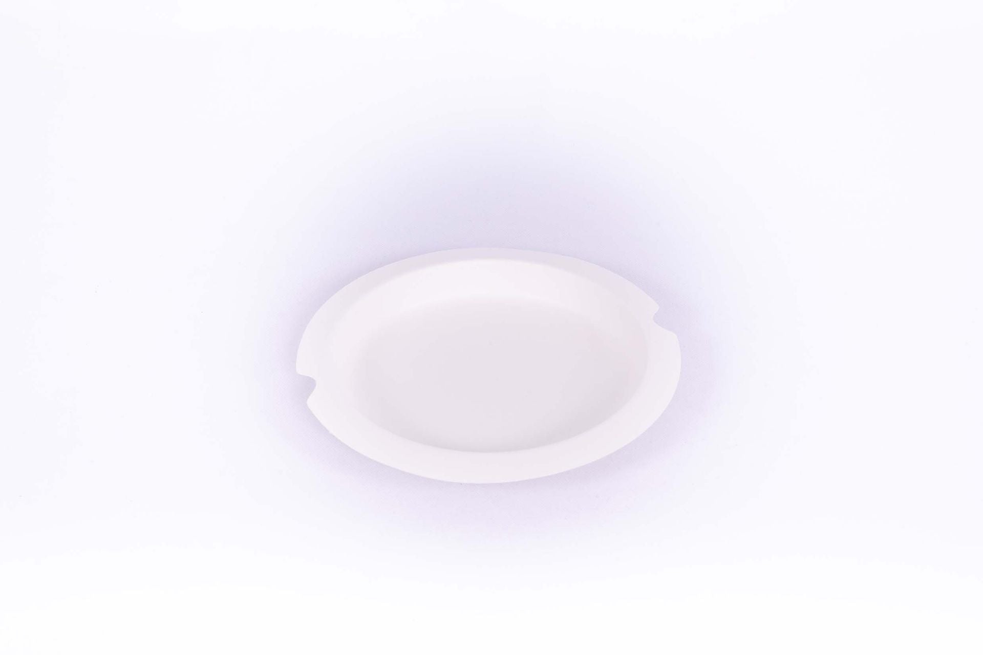 Sugar cane plate LUX 20 cm (12*6)