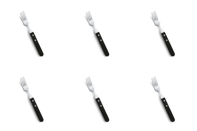 amefa-steakvork-7000-steak-20-1-cm-kunststof-rvs-zilver-6-stuks_