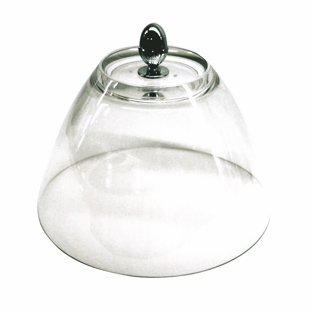 Transparent Cloche W/Knob 