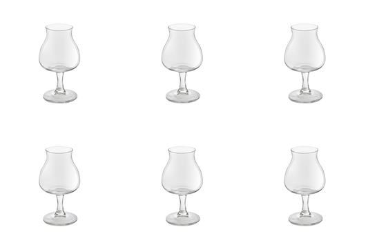 royal-leerdam-bierglas-specials-440102-25-cl-6-stuks_