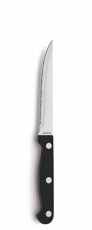 amefa-steakmes-met-franse-kartel-7025-steak-21-7-cm-kunststof-rvs-1-stuk_