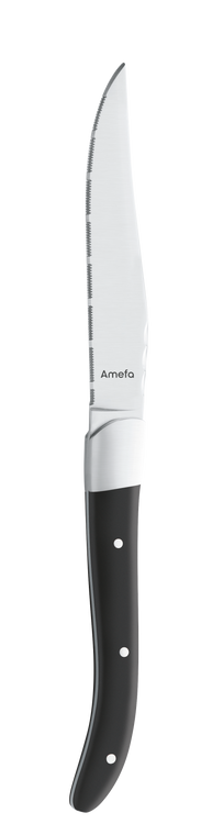 amefa-steakmes-golf-2520-royal-steak-25-cm-1-stuk_